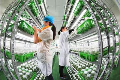 漫談｜各司其職完善產業(yè)鏈，讓農民種上放心田——水產養(yǎng)殖篇